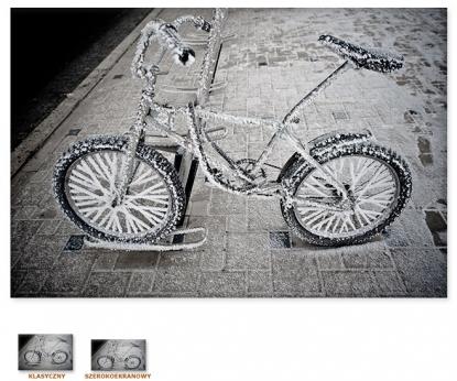 Zmrożony rower [Obrazy / Motoryzacja, Transport]