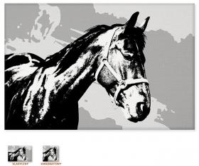 Pop-artowy koń [Obrazy / Zwierzęta, Konie]