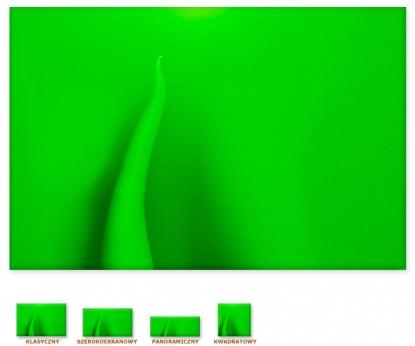 Zielony kształt [Obrazy / Abstrakcja, abstrakcyjne]