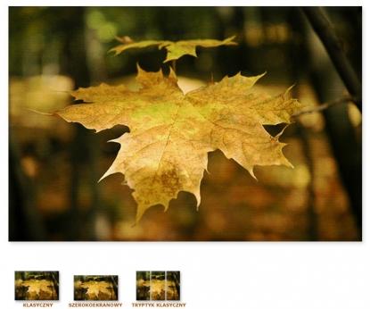 Jesienny liść [Obrazy / Kwiaty, Drzewa, Rośliny] 