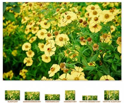 Zielono-żółta flora [Obrazy / Kwiaty, Drzewa, Rośliny] 