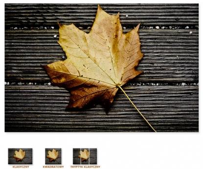 Jesienny liść na ławce [Obrazy / Przedmioty, Detale]