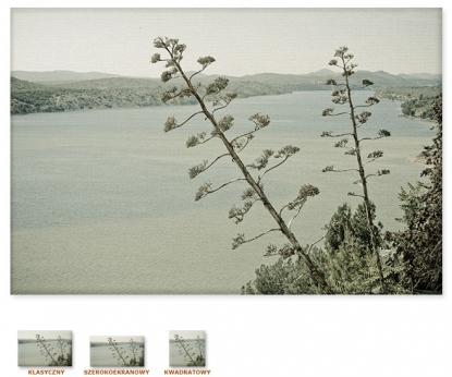 Drzewa nad zatoką [Obrazy / Pejzaże / Widoki]